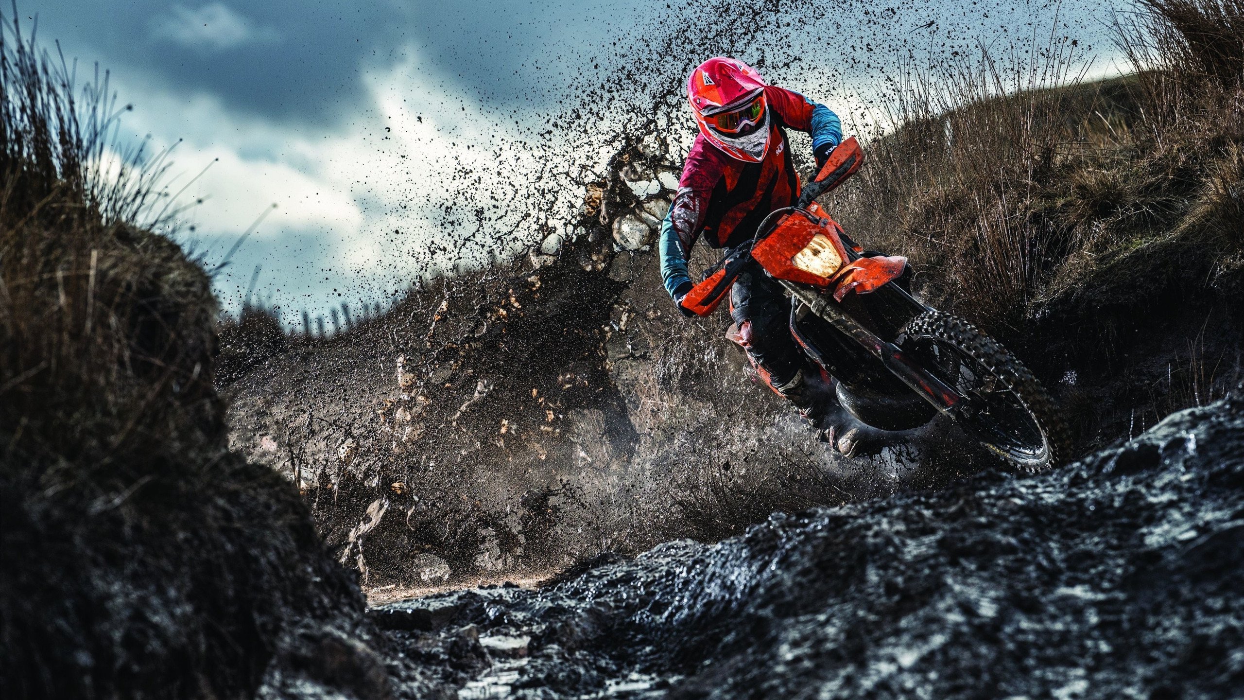 文班亚马，从单点突破到全队节拍器，尼克斯血拼黄蜂揭示的现代篮球密码